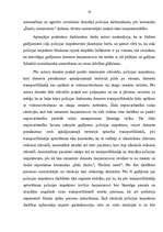 Referāts 'Dienesta šaujamieroča pielietošana policijas inspektora darbībā', 19.