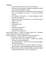 Referāts 'Pedagoģiskā procesa tiesiskie pamati', 13.