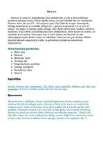 Konspekts 'Skrimšļzivis - haizivis', 2.