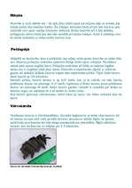 Konspekts 'Skrimšļzivis - haizivis', 3.