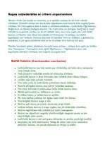 Konspekts 'Skrimšļzivis - haizivis', 4.