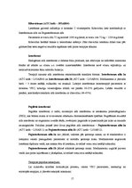 Referāts 'C hepatīts', 16.