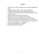 Referāts 'C hepatīts', 22.