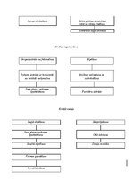 Prakses atskaite 'Mēbeļu gatavošana', 4.