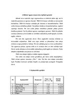 Prakses atskaite 'Mēbeļu gatavošana', 5.