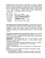 Paraugs 'Materiālzinības laboratorijas darbi', 13.