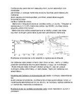 Paraugs 'Materiālzinības laboratorijas darbi', 15.