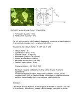Paraugs 'Materiālzinības laboratorijas darbi', 22.