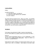 Paraugs 'Materiālzinības laboratorijas darbi', 30.