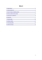 Referāts 'Projekta "Vienotas elektrības apmaksas sistēmas ieviešana Latvijā" plāns', 2.