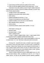 Referāts 'Bankas kredītu raksturojums un to procentu likmju noteikšana', 23.