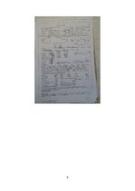 Referāts 'Jūras prakses projekts', 4.