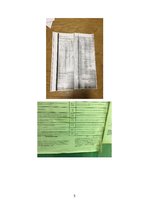 Referāts 'Jūras prakses projekts', 5.