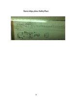 Referāts 'Jūras prakses projekts', 14.