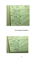 Referāts 'Jūras prakses projekts', 15.