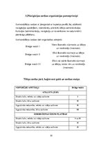 Referāts 'Jūras prakses projekts', 61.