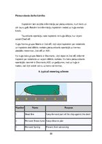 Referāts 'Jūras prakses projekts', 88.