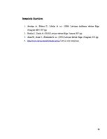 Referāts 'Latviešu teātris', 11.