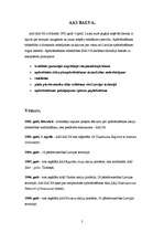 Referāts 'AAS "BALVA"', 2.