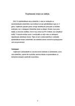 Referāts 'AAS "BALVA"', 6.