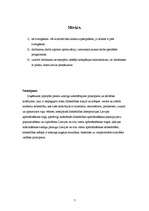 Referāts 'AAS "BALVA"', 7.