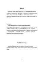 Referāts 'AAS "BALVA"', 9.