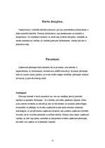 Referāts 'AAS "BALVA"', 10.