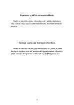 Referāts 'AAS "BALVA"', 15.