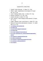 Referāts 'Fosfātu piesārņojuma avotu un ietekmes uz vidi novērtējums', 29.