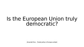 Prezentācija 'Is EU truly democratic', 1.
