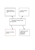 Konspekts 'Ugunsgrēku risks Latvijā', 2.
