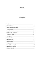 Referāts 'Auto riepas un satiksmes drošība', 2.