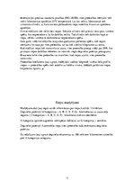 Referāts 'Auto riepas un satiksmes drošība', 12.