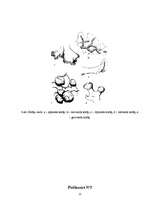 Referāts 'Gaisa tīrības pakāpes noteikšana Vangažos pēc ķērpju daudzveidības', 21.