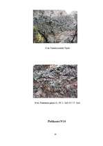 Referāts 'Gaisa tīrības pakāpes noteikšana Vangažos pēc ķērpju daudzveidības', 28.