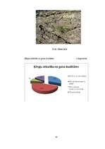 Referāts 'Gaisa tīrības pakāpes noteikšana Vangažos pēc ķērpju daudzveidības', 30.