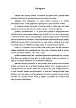 Referāts 'Zvērināta tiesu izpildītāja aprēķins par sprieduma izpildes izdevumiem', 11.