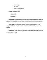 Referāts 'Jēdziena "laime" izpratne dažādos vecumposmos', 29.