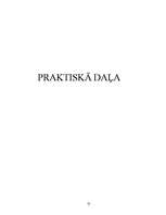 Referāts 'Jēdziena "laime" izpratne dažādos vecumposmos', 31.