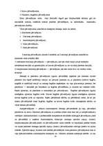 Konspekts 'Līgumu veidi', 16.