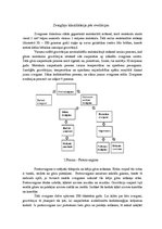 Konspekts 'Zvaigznes. Zvaigžņu klasifikācija', 4.