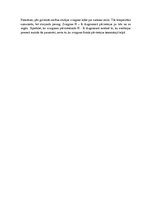 Konspekts 'Zvaigznes. Zvaigžņu klasifikācija', 9.