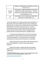 Referāts 'Pilsētu pētījumi', 8.