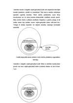 Diplomdarbs 'Iekļaujošā skola kā demokrātiskas sabiedrības sastāvdaļa', 15.