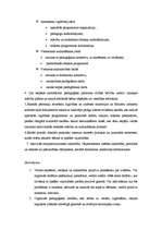 Diplomdarbs 'Iekļaujošā skola kā demokrātiskas sabiedrības sastāvdaļa', 40.