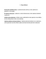 Biznesa plāns 'Biznesa plāns', 2.