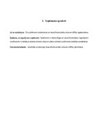 Biznesa plāns 'Biznesa plāns', 3.