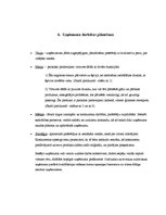 Biznesa plāns 'Biznesa plāns', 7.