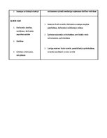 Biznesa plāns 'Biznesa plāns', 10.