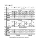 Biznesa plāns 'SIA “Jūras Pērle”', 28.